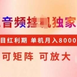 全网首发【搜狐音频挂j】独家技术，项目红利期，可矩阵可放大，稳定月入8000+