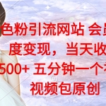 男粉计划6.0–se粉引流网站会员变现，当天收益500+ 五分钟一个视频 视频包原创